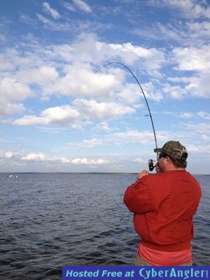 Click to Enlarge Photo