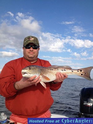 Click to Enlarge Photo