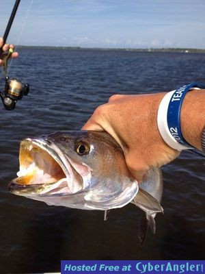 Click to Enlarge Photo