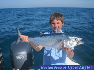 Click to Enlarge Photo