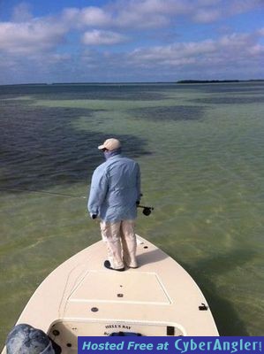 Click to Enlarge Photo