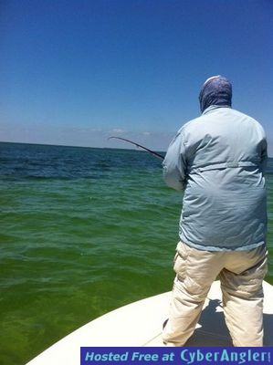 Click to Enlarge Photo