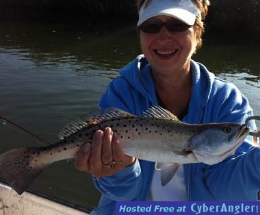 Click to Enlarge Photo