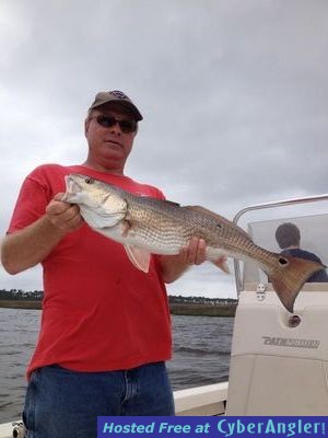 Click to Enlarge Photo