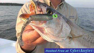 Click to Enlarge Photo