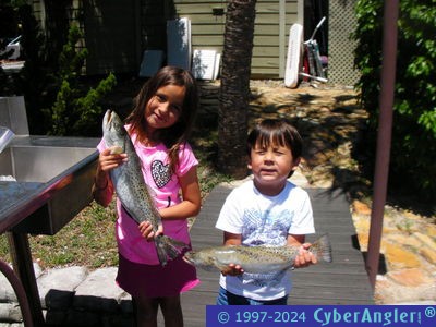 Click to Enlarge Photo