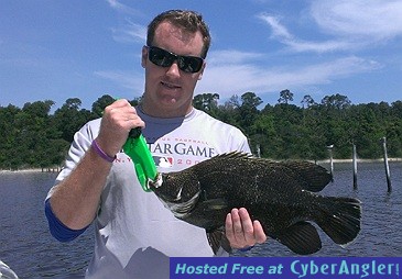 Click to Enlarge Photo