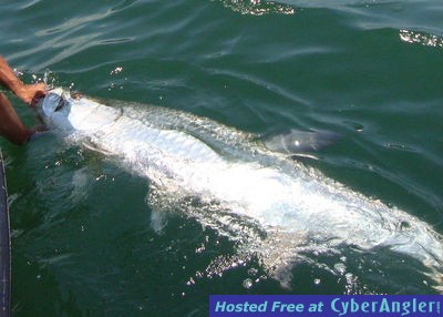 Click to Enlarge Photo