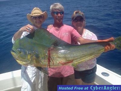 Click to Enlarge Photo