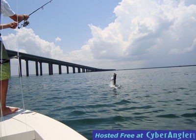 Click to Enlarge Photo