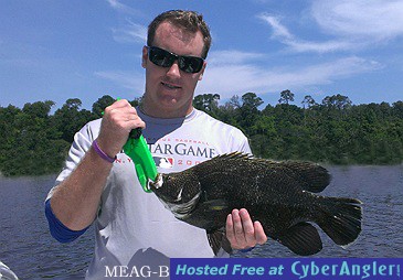 Click to Enlarge Photo