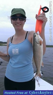 Click to Enlarge Photo