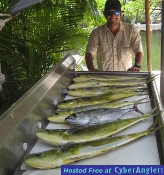 Click to Enlarge Photo