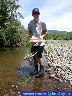 Click to Enlarge Photo