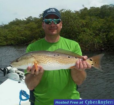 Click to Enlarge Photo