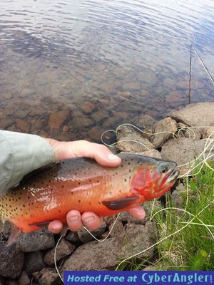 Click to Enlarge Photo