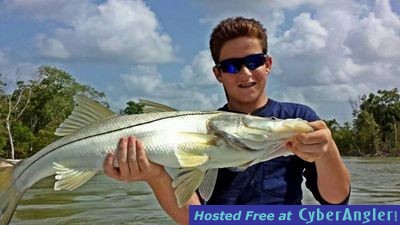 Click to Enlarge Photo