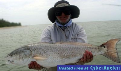 Click to Enlarge Photo