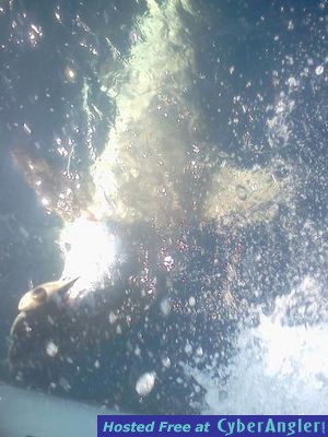 Click to Enlarge Photo