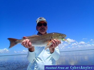 Click to Enlarge Photo