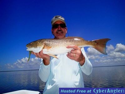 Click to Enlarge Photo