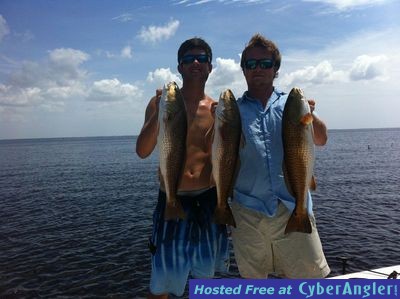 Click to Enlarge Photo