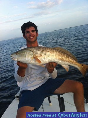 Click to Enlarge Photo