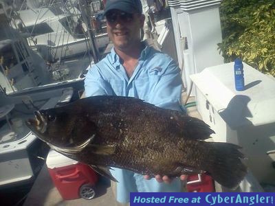 Click to Enlarge Photo