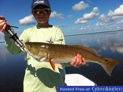 Click to Enlarge Photo