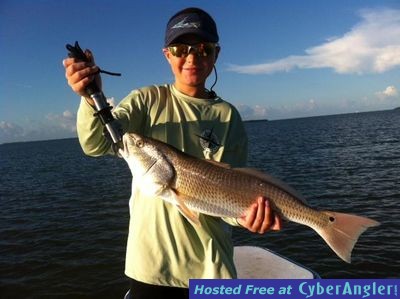 Click to Enlarge Photo