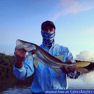 Click to Enlarge Photo