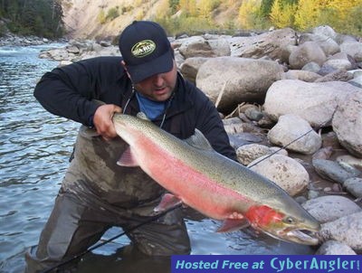 Click to Enlarge Photo