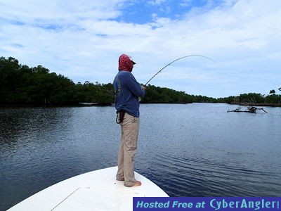 Click to Enlarge Photo