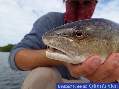 Click to Enlarge Photo