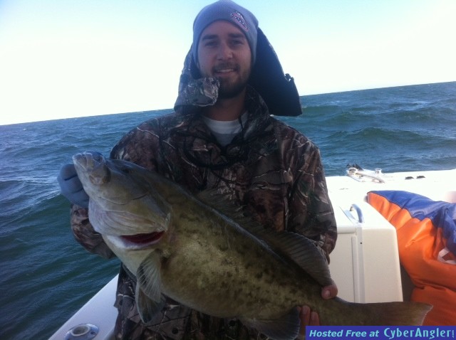 Click to Enlarge Photo