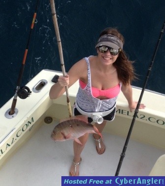 Click to Enlarge Photo