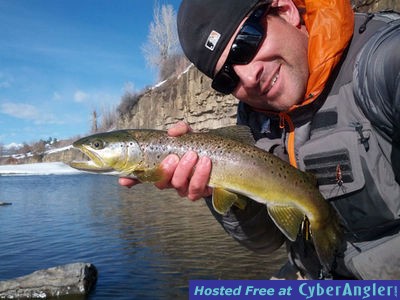 Click to Enlarge Photo