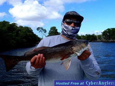 Click to Enlarge Photo