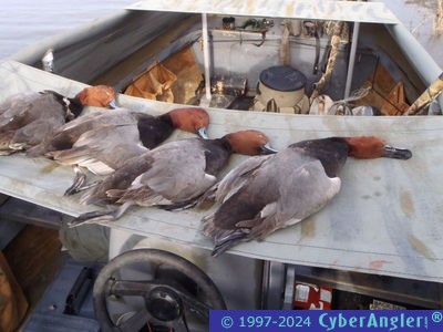 Click to Enlarge Photo