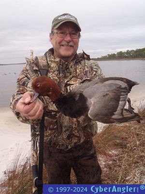 Click to Enlarge Photo