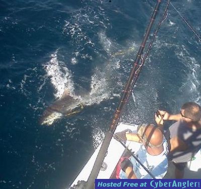 Click to Enlarge Photo