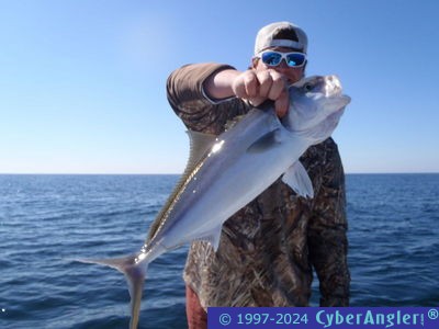 Click to Enlarge Photo