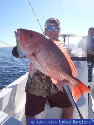 Click to Enlarge Photo