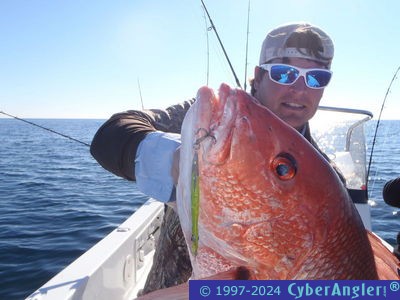 Click to Enlarge Photo