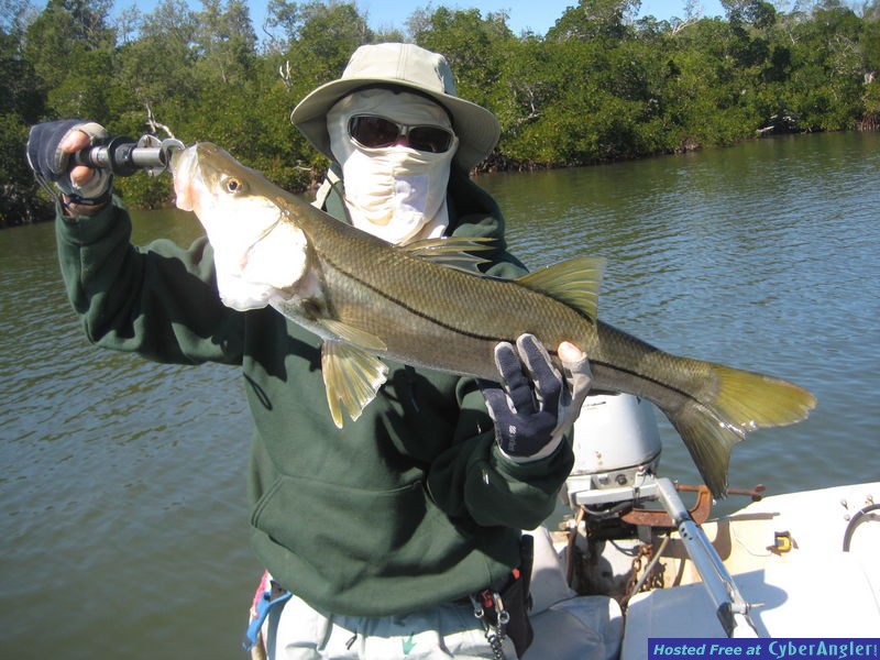 Click to Enlarge Photo