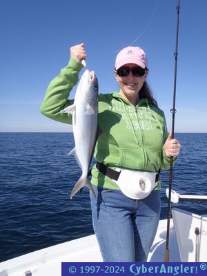 Click to Enlarge Photo