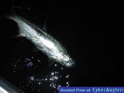 Click to Enlarge Photo