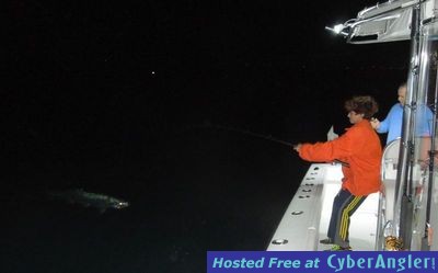 Click to Enlarge Photo