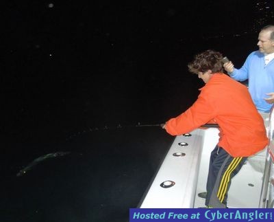 Click to Enlarge Photo