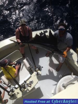 Click to Enlarge Photo